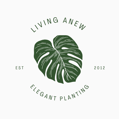 Living Anew, LLC